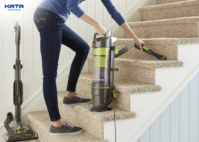 easy to maintain and clean