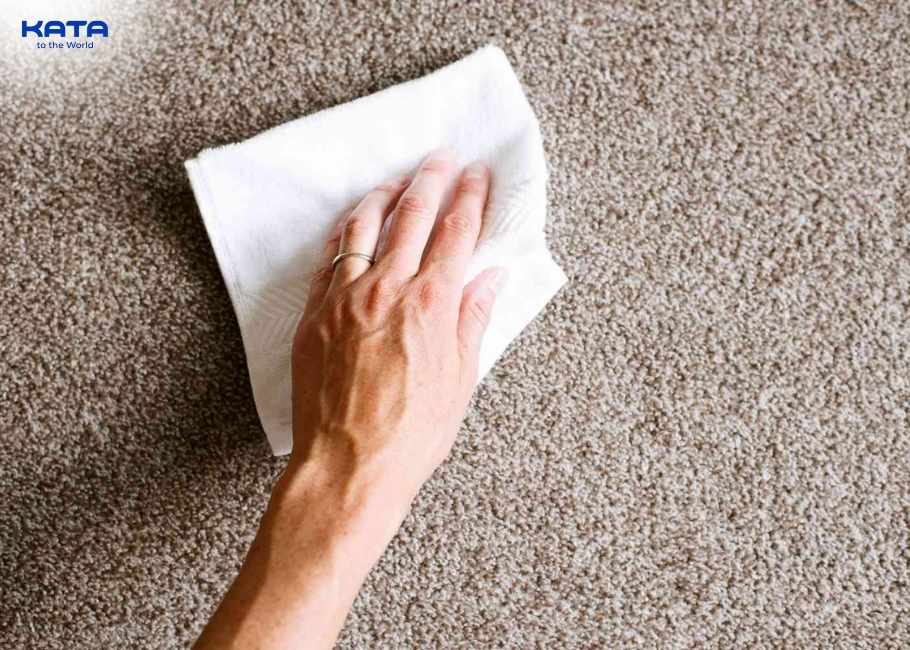 How to Clean Carpet on Stairs: By Hand & Machine