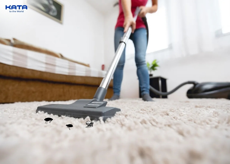 signs of fleas in carpet