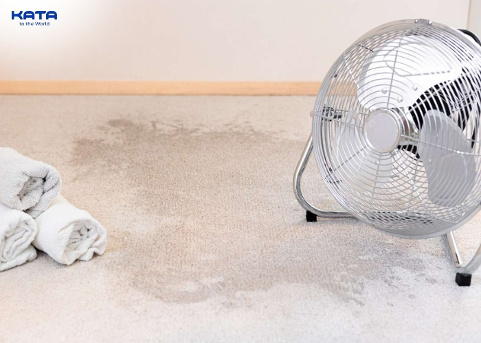 using fans and dehumidifiers