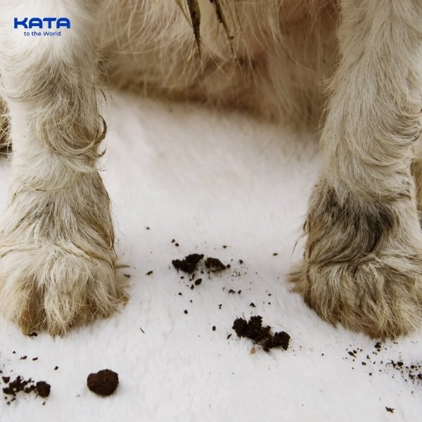 how to fix carpet torn up by dog