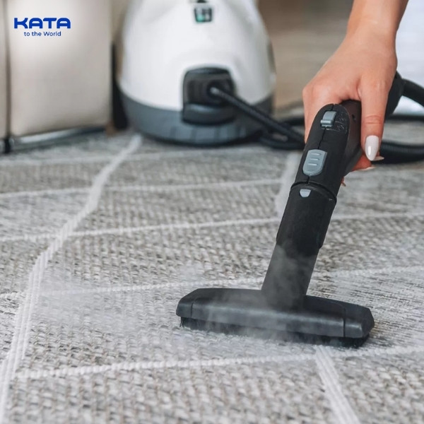 Steam Cleaning