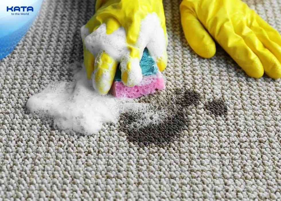 apply a lot of solution to the urine stain