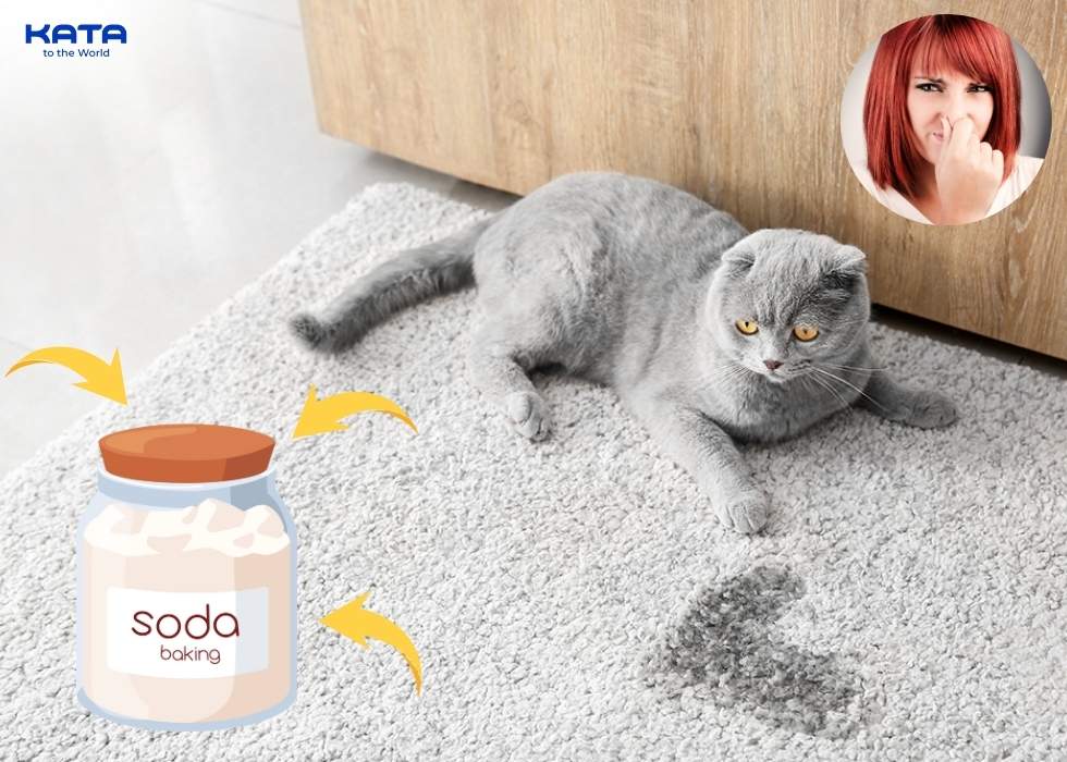 eliminate cat urine odor