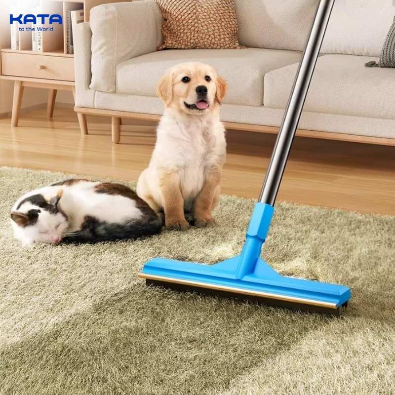 carpet rake or brush