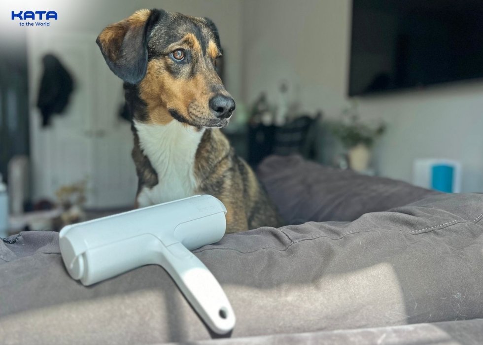 lint rollers