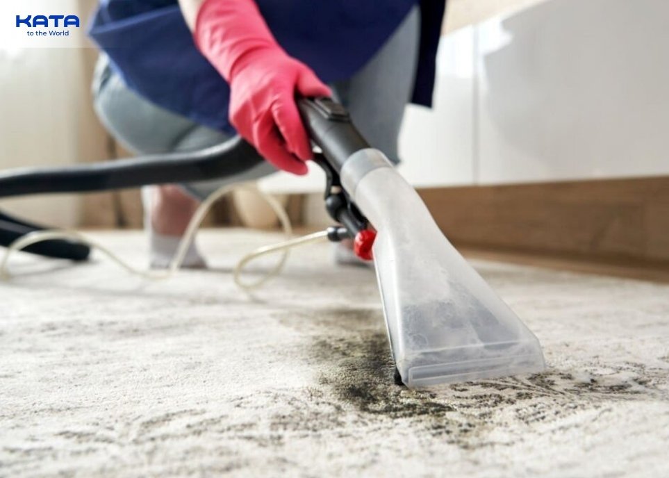 Commercial Stain Removers