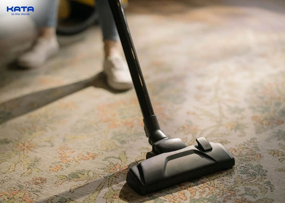 clean outdoor carpet before treating mold