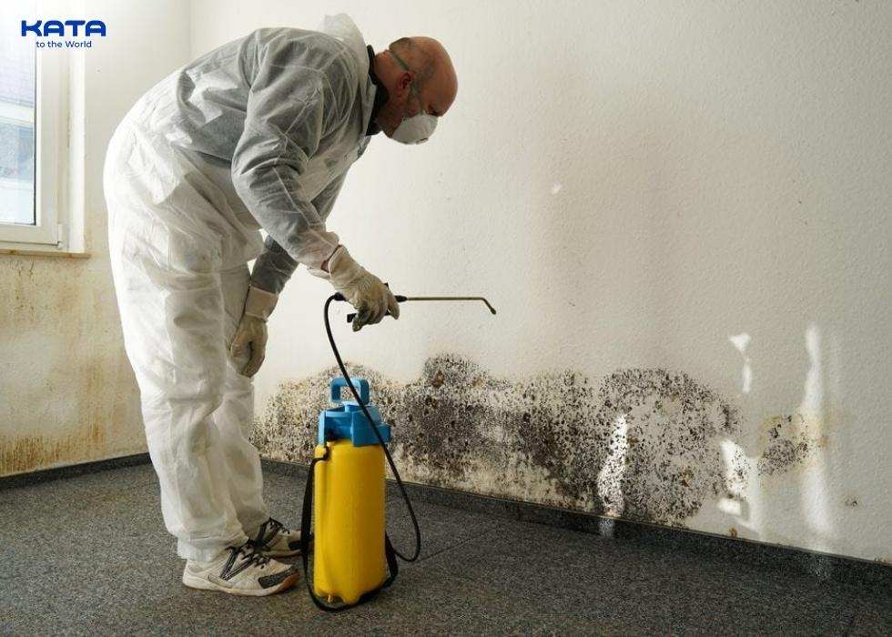 mold prevention for outdoor carpets