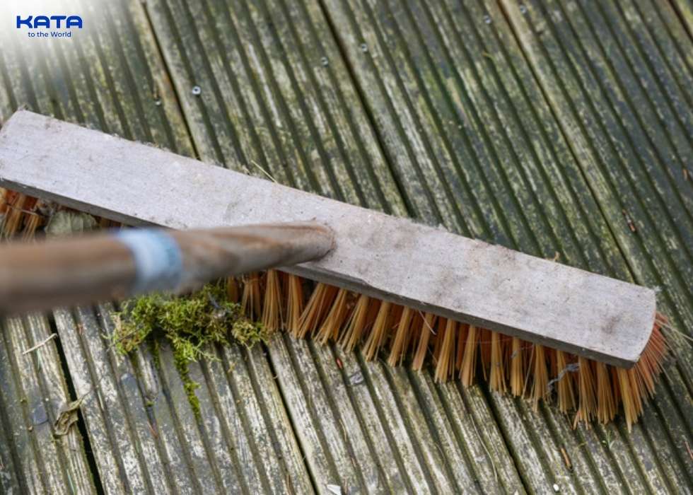 scrub the mossy areas with firm