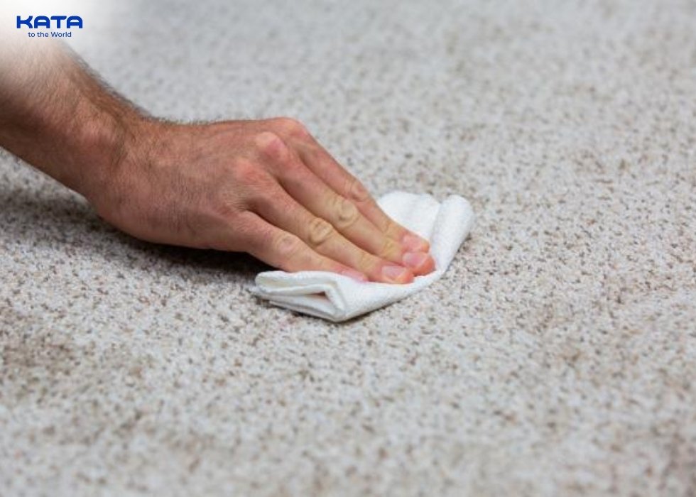 dry cloth or paper towel to blot the area gently