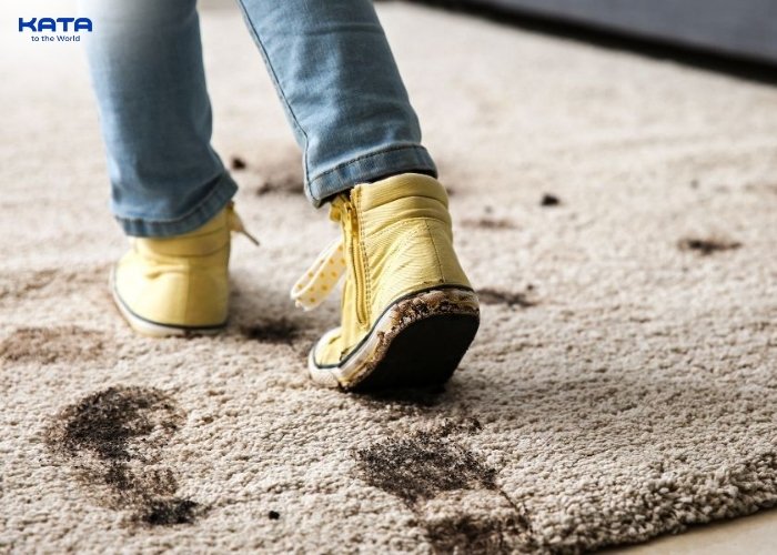 saxony carpets retain footprints