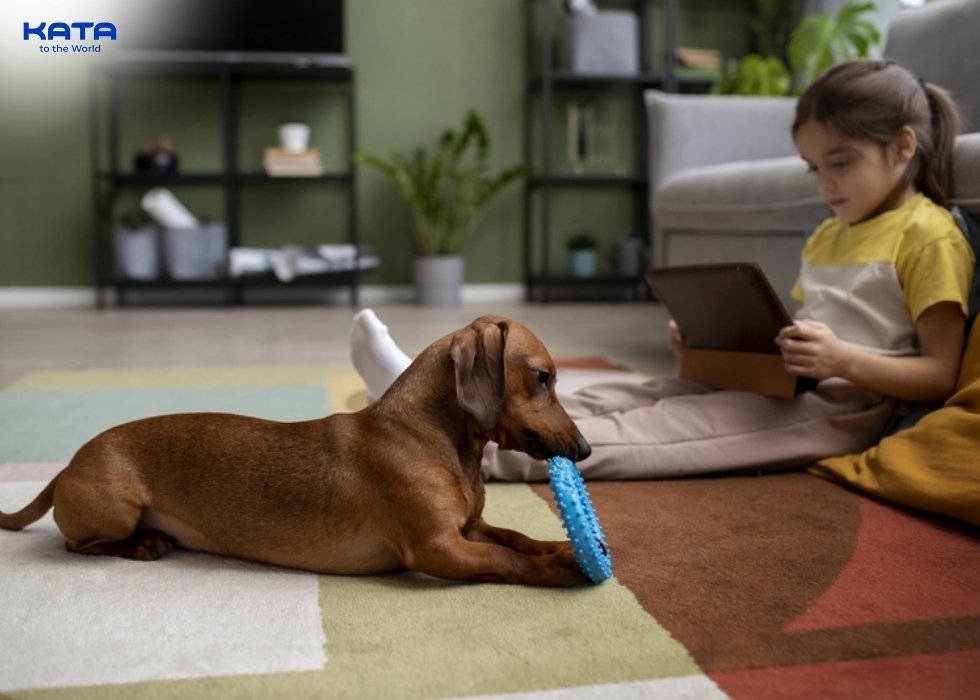 families with children or pets