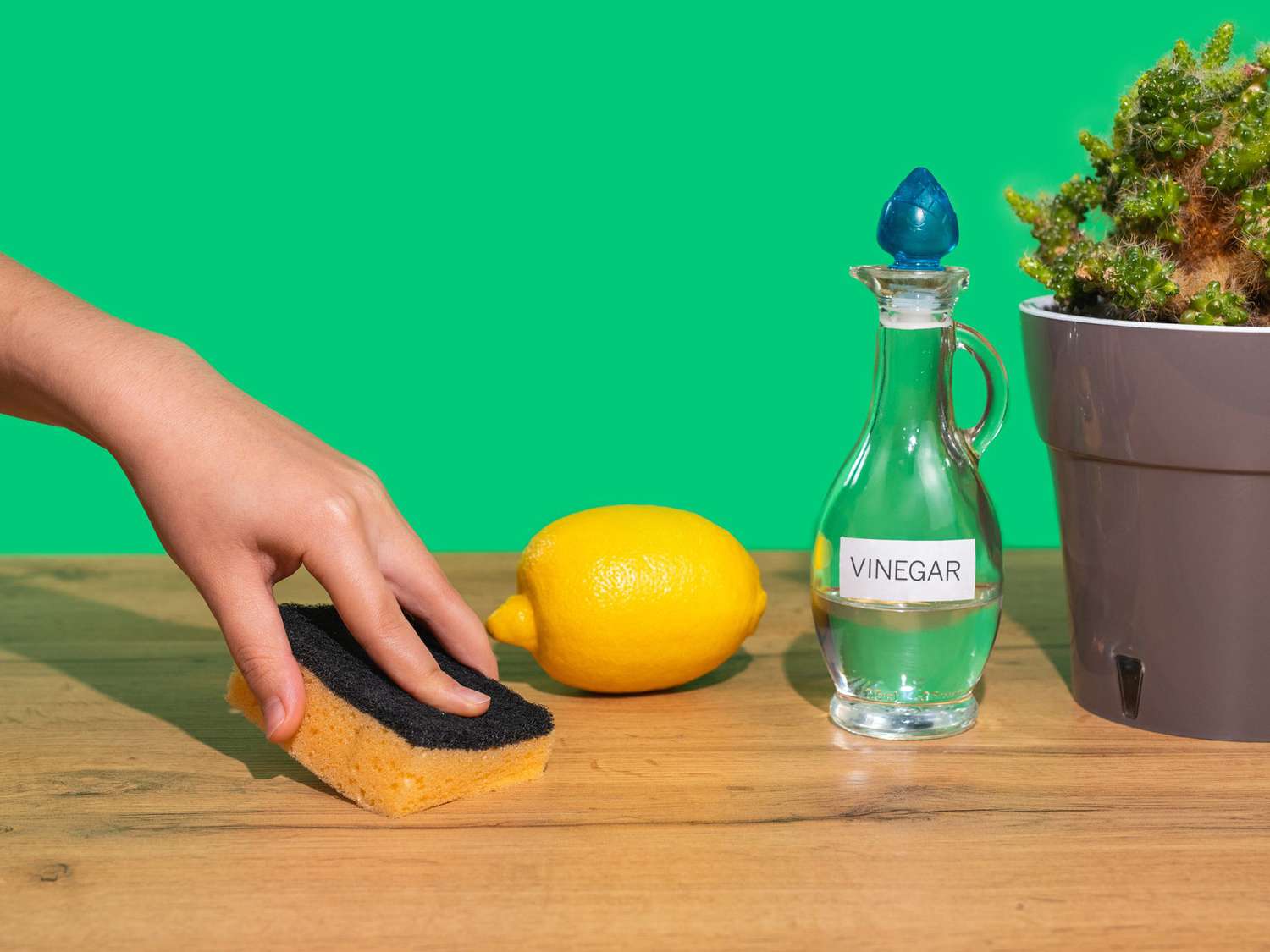 Clean with vinegar picture