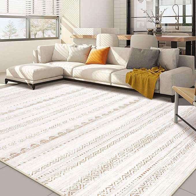 Living Room Carpet Picture